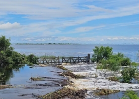 Estaban a solo cuatro días de la cosecha y un diluvio les dejó un desastre