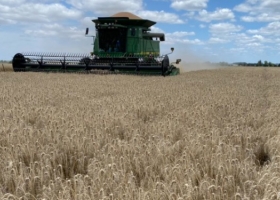 Terminó la cosecha fina argentina y la región sudeste revalidó el título de la zona núcleo cerealera
