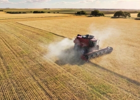 La Argentina le podrá exportar trigo a China y competirá con Australia y Canadá