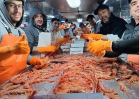La industria pesquera celebró haber quedado afuera de la ley ómnibus y agradeció a los legisladores