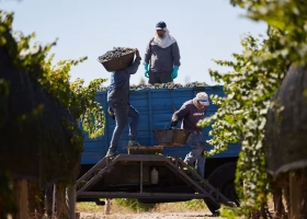 Se avecina un nuevo round para la agroindustria luego de la marcha atrás con la suba de los derechos de exportación