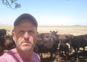 Quita el sueño. El drama de los ganaderos del oeste bonaerense que deben tomar una difícil decisión