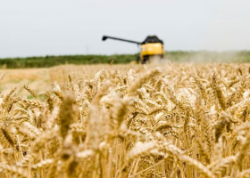 El agricultor ya es un empresario con visión estratégica