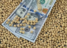Los motivos que llevaron a dos entidades del mercado de granos a crear el dólar exportador