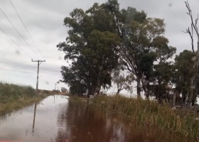 Esto es un hartazgo. Crece la batalla judicial de los productores contra municipios bonaerenses por polémicas tasas