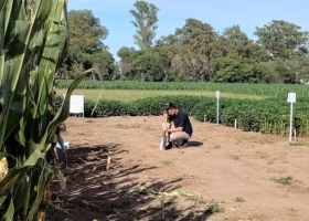 En la agricultura argentina el mercado de insumos biológicos ya crece más rápido que el de agroquímicos