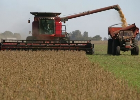 Según un informe alerta por un fuerte deterioro en un indicador decisivo para el campo