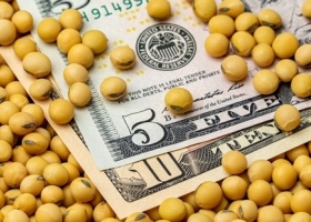 Los nuevos futuros de Soja Rosario con dólar exportador empezaron a negociarse con una cobertura cambiaria  implícita