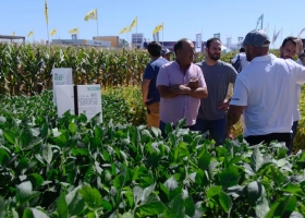 Expoagro: la hora de las fuerzas del campo y la enseñanza más grande que dejan los productores