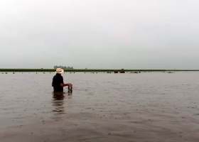 Fue un diluvio el pueblo donde los animales desaparecieron en un abrir y cerrar de ojos
