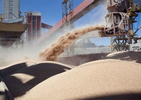 Las exportaciones alcanzarían los US$81.000 millones este año