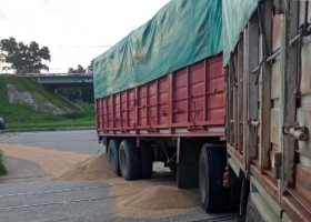  Denuncian una zona liberada en torno de los puertos del Gran Rosario