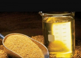 Se espera un aumento de las exportaciones de harina de soja y de carne