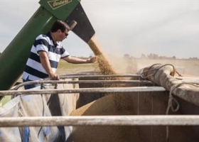 Alivio para el Gobierno: hasta agosto próximo el agro podría aportar US$10.000 millones