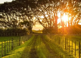Lo que aparece se vende repuntó el mercado de campos y los inversores esperan que Milei no repita algo de Macri