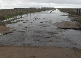 Sin caminos rurales no hay agrodivisas. Se derrumbó el ingreso de camiones con granos a los puertos