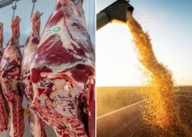 Israel-Irán por ahora no ven riesgos para los alimentos que el país exporta a Medio Oriente, pero sugieren atención a un dato