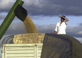 Retenciones la Justicia revocó un fallo a favor de la Rural y la entidad llevará la disputa a la Corte Suprema
