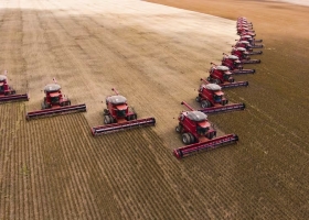 Agravan la situación reportan importantes pérdidas en la recta final de la campaña agrícola