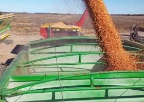 Por fin. Se vienen varios días sin precipitaciones para poder avanzar con la cosecha gruesa