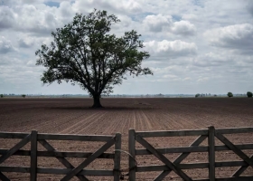 Cambio fundamental en un mes la renta del negocio trigo/soja pasó de negativa a positiva
