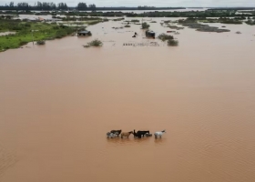 “Momento oportuno”: destacan que la mejora del precio de la soja podría disparar ventas de los productores