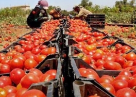 Retroceso y alerta se apagó el boom de un alimento que era sensación en una provincia