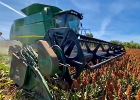 Avanza la cosecha de sorgo con rindes altos