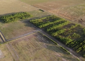 “Empática y atractiva”: una cooperativa del agro encontró una fórmula estratégica para acercarse a la sociedad