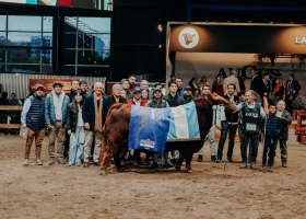 Expo Angus La Rubeta ganó el Supremo Gran Campeón Macho y Tres Marías, la hembra