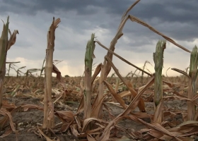 Se prevé que El Niño dé paso a La Niña este mismo año