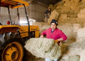 Está perdiendo. El Banco Mundial alertó sobre un freno en las exportaciones del agro mientras otros países crecieron