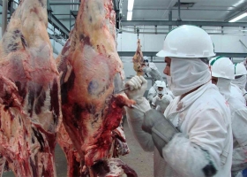 Subieron las exportaciones de carne y bajaron los precios en el mercado de Cañuelas
