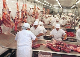 Cayó la producción de carne vacuna en los cinco primeros meses del año