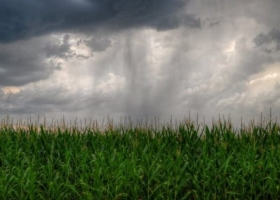 La semana que viene se pronostican tormentas en el NEA y el sur de la región pampeana