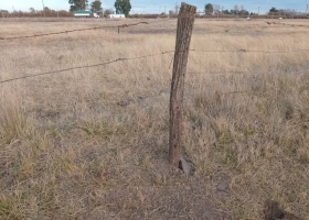 Cada cuatro días carnean y roban animales en los campos ganaderos de Coronel Pringles