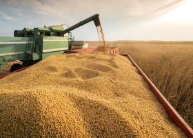 Sigue pensando si le van a levantar el cepo los motivos detrás de la caída de la liquidación de divisas del agro