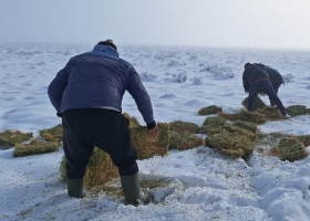 El productor que sobrevivió a las cenizas del volcán Hudson y hoy lucha en la nieve para no perder más ovejas