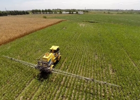 Hay dos causas sin solución revelan que los productores argentinos de soja cobran la mitad que sus pares uruguayos