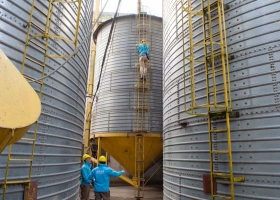 Detectaron 700 silos sin declarar en campos de la zona núcleo