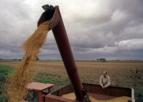 Recaudación récord el agro le aportó al Tesoro un 160% más por retenciones