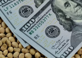 En la Argentina el precio de la soja baja cuando en realidad sube por el descalabro macroeconómico