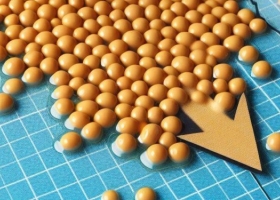  Desgracia 34 millones de toneladas de soja argentina están “descubiertas” en un mercado bajista