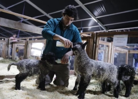 La Rural buen ánimo y expectativas por negocios entre los expositores