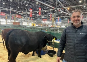 Exposición Rural de Palermo el show está en marcha y la genética es la gran protagonista