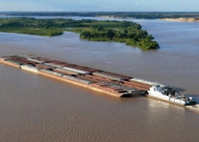 Casi el 20% de la soja procesada por la industria aceitera argentina en lo que va del ciclo comercial 2023 24 provino de Paraguay