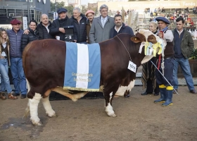 Palermo a pura emoción, Braford consagró a sus grandes campeones en la primera jornada de juras