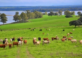 La SRA presentó el Sello de Triple Impacto  para tener una producción más sostenible