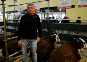 Cabañeros chaqueños se agruparon para viajar al “corazón de la ganadería”