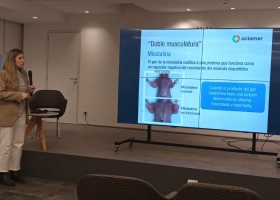 F94L, una variante del gen de la miostatina, presente en los Limousin, es la responsable de su mayor musculatura y rendimiento carnicero